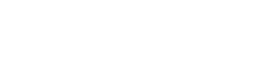 Logo Bringel